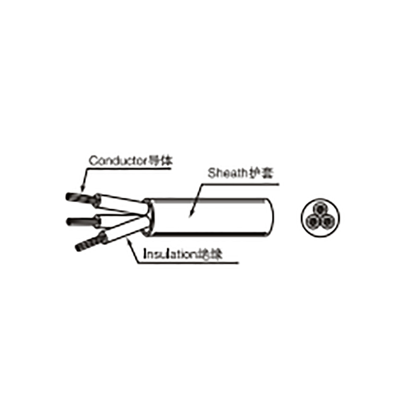 PNCTF 信息